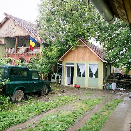 Pensiune Muzeu Traditional Poveste In Transilvania Sighişoara Eksteriør billede